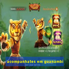 acompanhates em guanambi